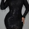 Sequined Sparkly Tassels Mini Dress