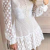 Lace Elegant Ruffle Mini Dress