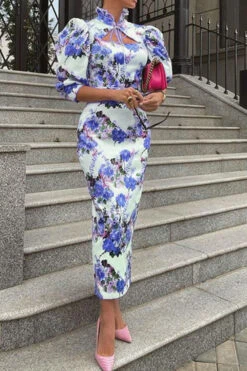 Floral Print Glamorous Mandarin Collar Midi Dress -Clothing Outlet Store C23050418 BL 2