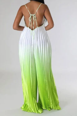 Gradient Striking Wide Leg Pleated Jumpsuit -Clothing Outlet Store C23051268 GR 4