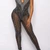 Rhinestone Kitsch See-Through Bodycon Jumpsuit