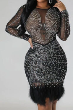 Rhinestone Pretty See-Through Feather Hem Mini Dress -Clothing Outlet Store H23022348 BK 3