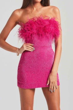 Sequined Romantic Feather Design Mini Dress