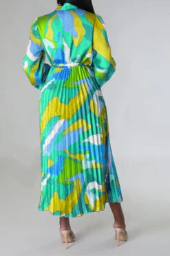 Graphic Print Feminine Belted Pleated Midi Dress 25 Graphic Print Feminine Belted Pleated Midi Dress -Clothing Outlet Store H23060940 GR 4