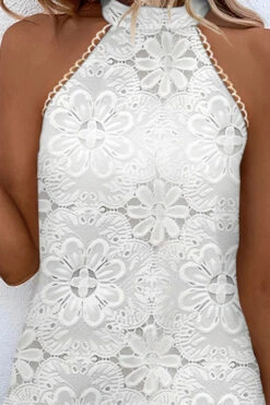 Lace Stunning Halter Collar Mini Dress 5 Lace Stunning Halter Collar Mini Dress -Clothing Outlet Store H23062596 WH 3
